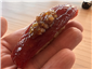 akami tuna sushi